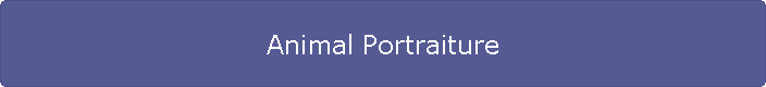 Animal Portraiture