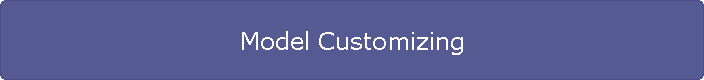 Model Customizing