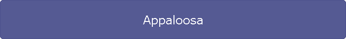 Appaloosa