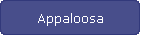 Appaloosa