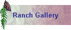 Ranch Gallery